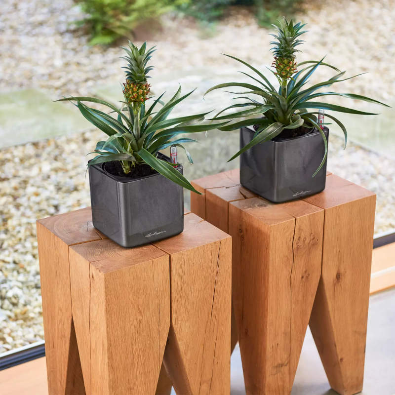 lechuza-cube-glossy-14-firstgreen.by.jpg