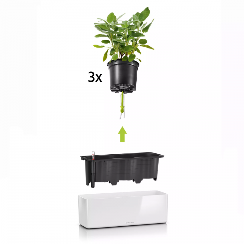 lechuza-cube-glossy-triple-firstgreen.by.jpg