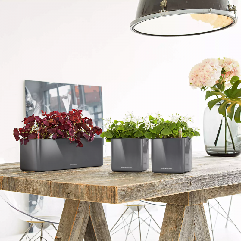 green-wall-home-kit-glossy-lechuza-firstgreen.by.jpg