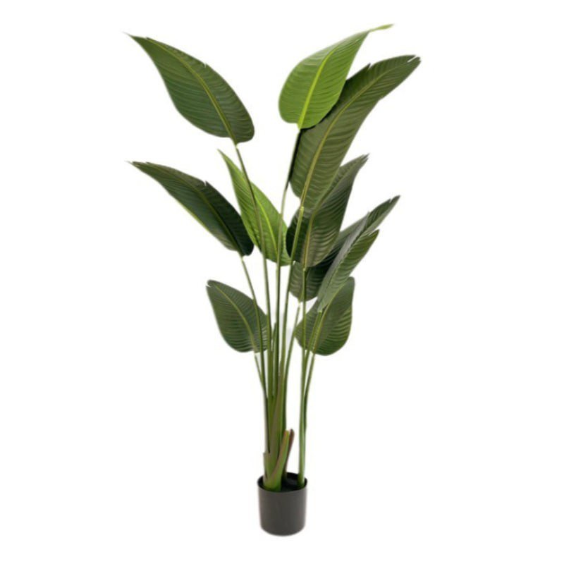 GP-002.160-firstgreen-by-iskusstvennaya-strelitzia-korolevskaya-160cm.jpg