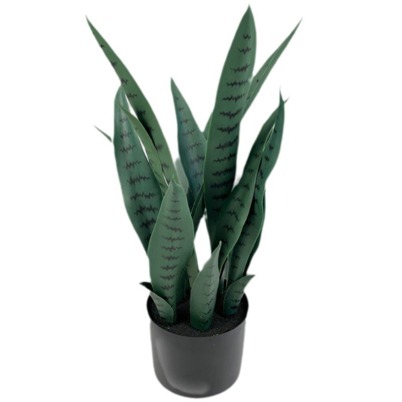 GP-005.055-firstgreen.by_iskusstvennaya_sansevieriya_55cm.jpg
