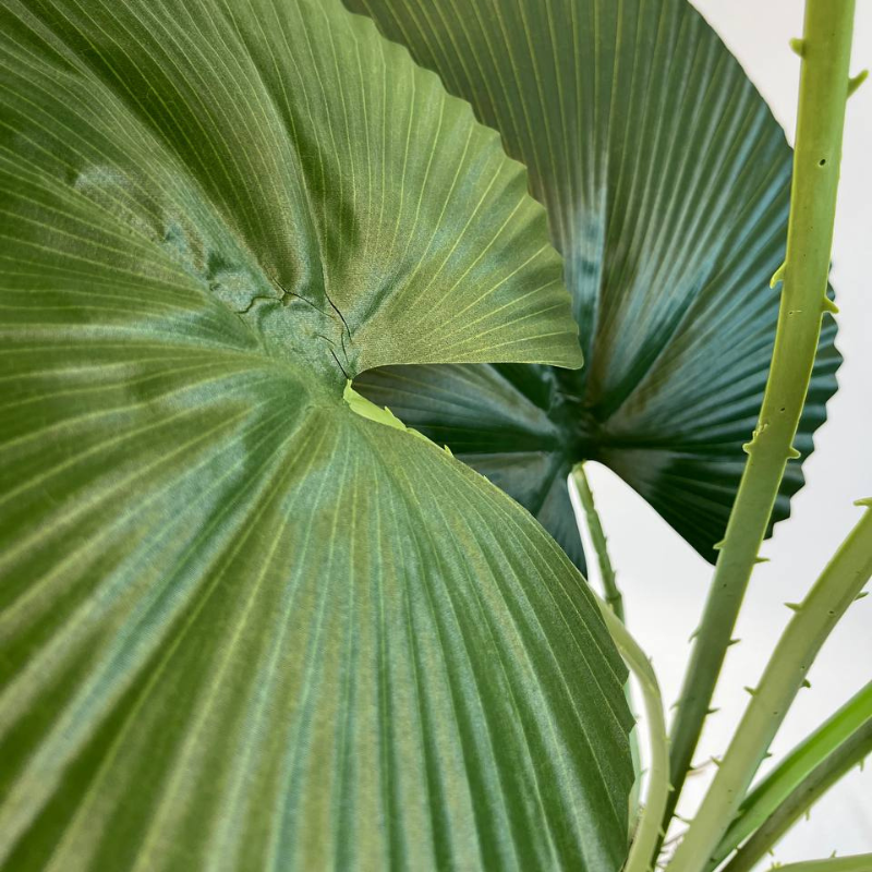 GP-041-120-2-iskusstvennaya-palma-likuala-120см-firstgreen.by