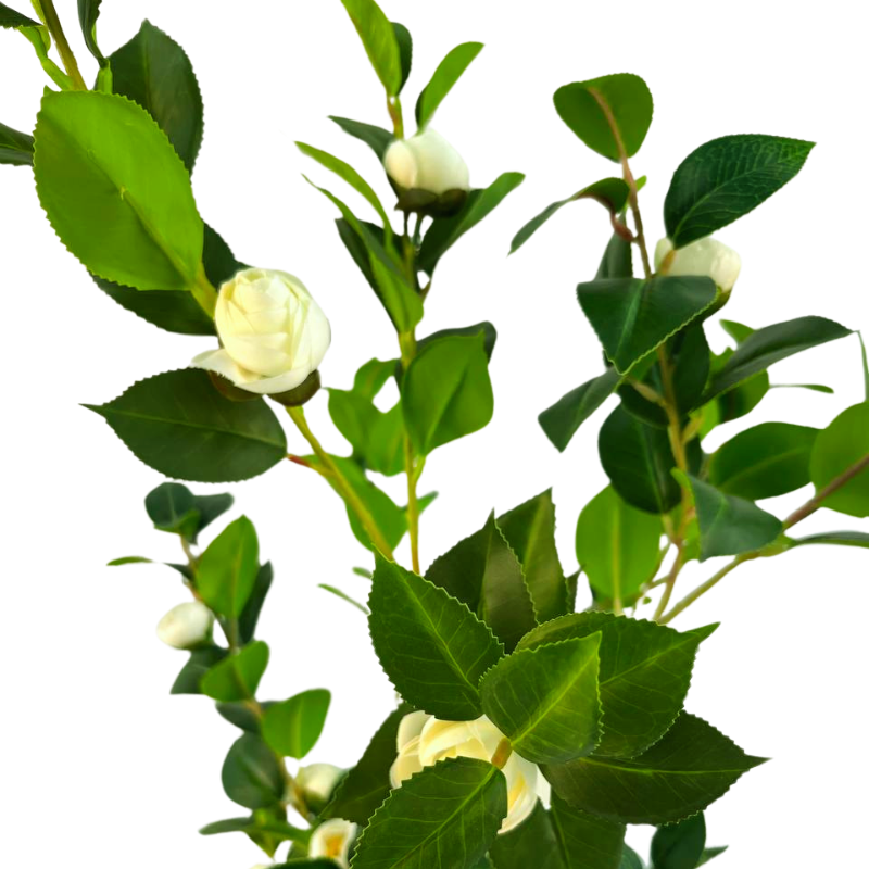 GP-046-150-2-iskusstvennaya-kameliya-yaponskaya-belaya-150см-firstgreen.by.png