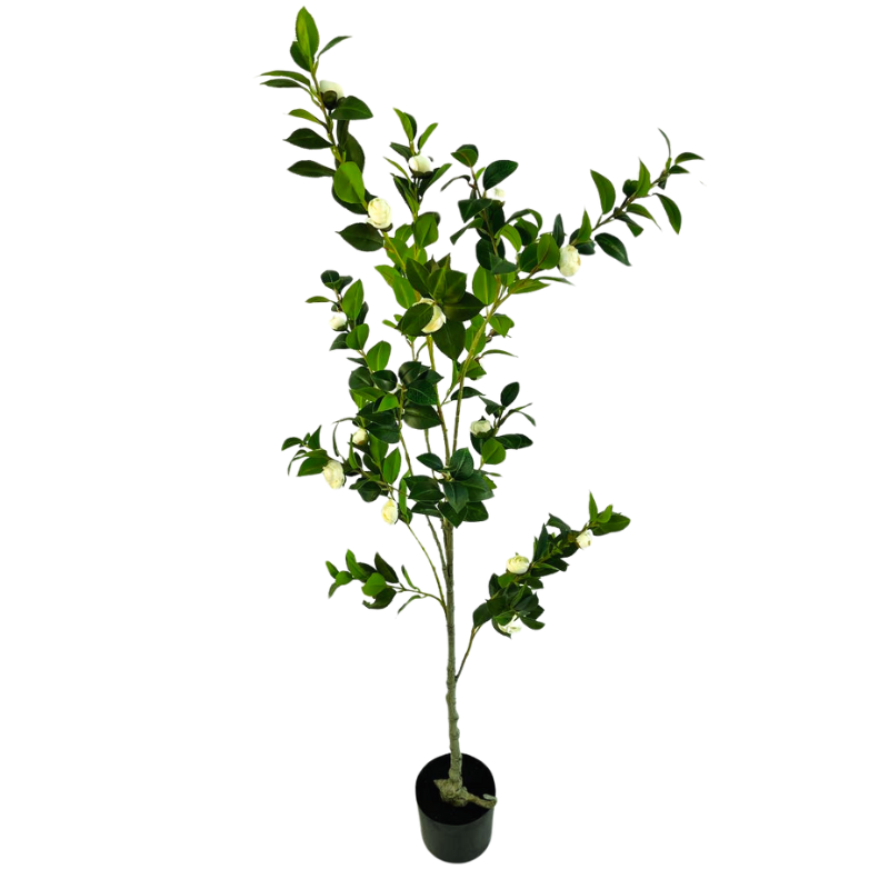 GP-046-150-iskusstvennaya-kameliya-yaponskaya-belaya-150см-firstgreen.by.png