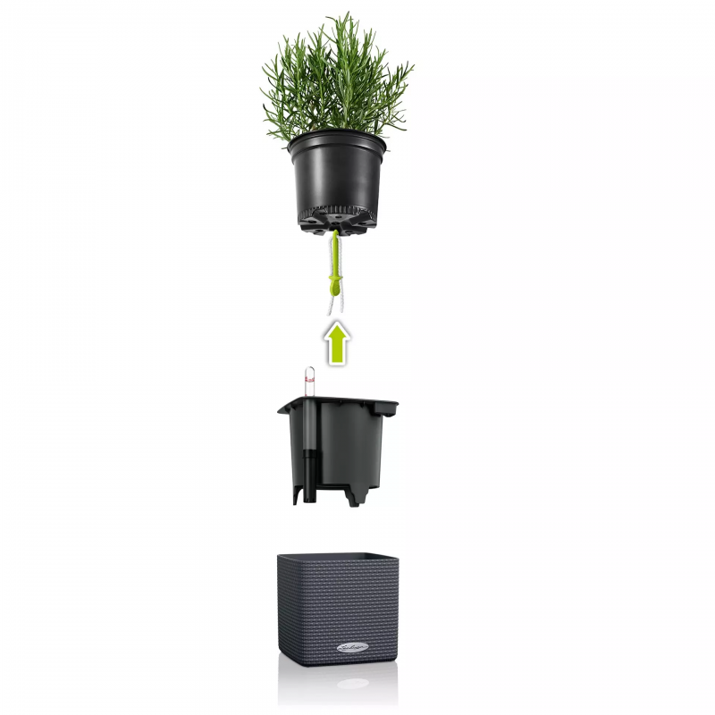 lechuza-green-wall-home-kit-color-cube14-firstgreen.by.jpg