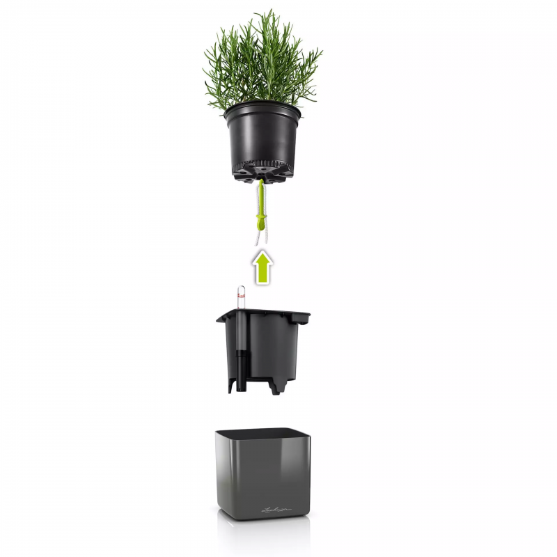 green-wall-home-kit-glossy-lechuza-firstgreen.by.jpg
