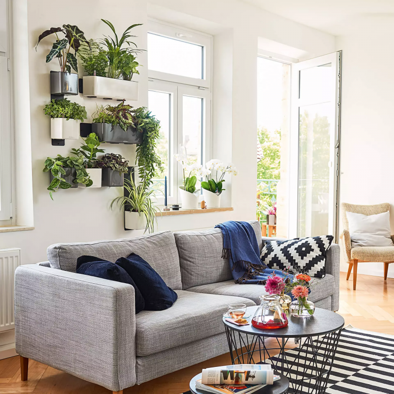 green-wall-home-kit-glossy-lechuza-firstgreen.by.jpg