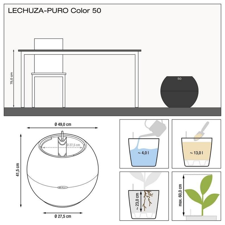 lechuza-puro-color-50-firstgreen.by.jpg