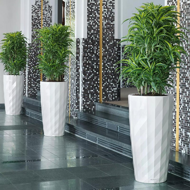 lechuza-diamante-40-firstgreen.by.jpg