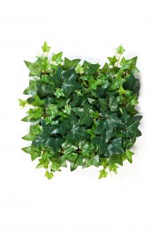 Ковёр из искусственного плюща 25×25 см — живая стена без ухода