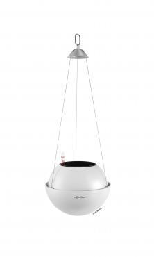 Lechuza BOLA Color 23