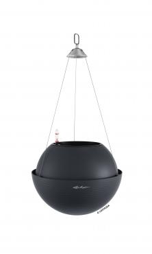Lechuza BOLA Color 32