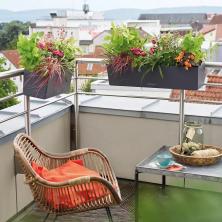 Lechuza Balconera Color 40