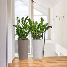 Кашпо Lechuza Cilindro Cottage 32