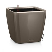 Lechuza Quadro 43 LS