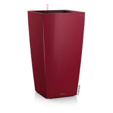 Cubico 30