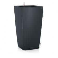 Cubico Color 30