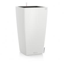 Cubico Color 40