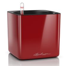 Cube Glossy 16