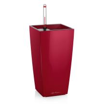 MAXI-CUBI